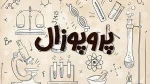 پروپوزال - چالش ها و فرصت های آموزش پیش دبستانی در مناطق دو زبانه